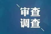 云南省工业投资控股集团有限责任公司原党委委员、副董事长阚友钢被查