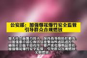 公安部：做好春节前后维护安全稳定工作 确保人民群众平安过节