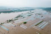 黑龙江辽宁等地昨出现强降雨，今日山东河南等地将有大到暴雨